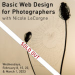 Workshop -  Basic Web Design for Photographers
